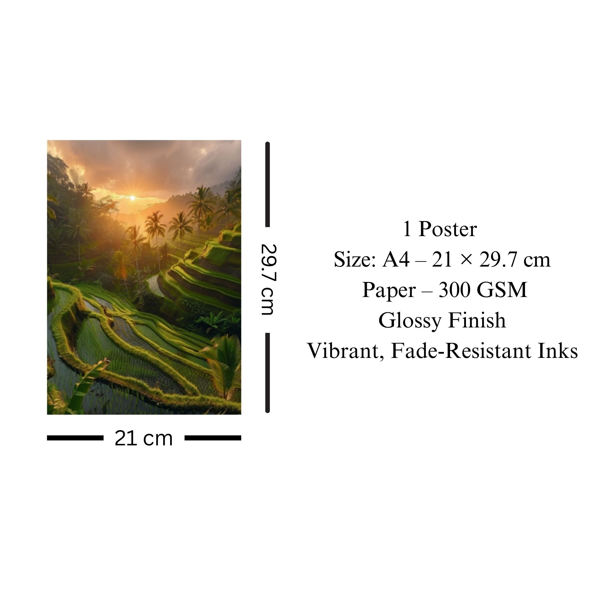 Bali Rice Terraces Sunrise Poster A4 thumbnail 3