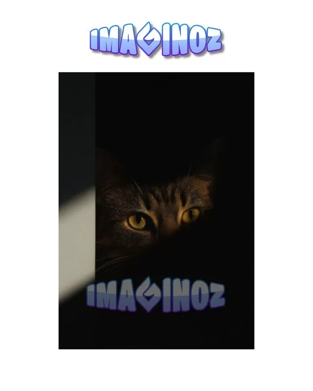 Cat in Shadows Poster A4