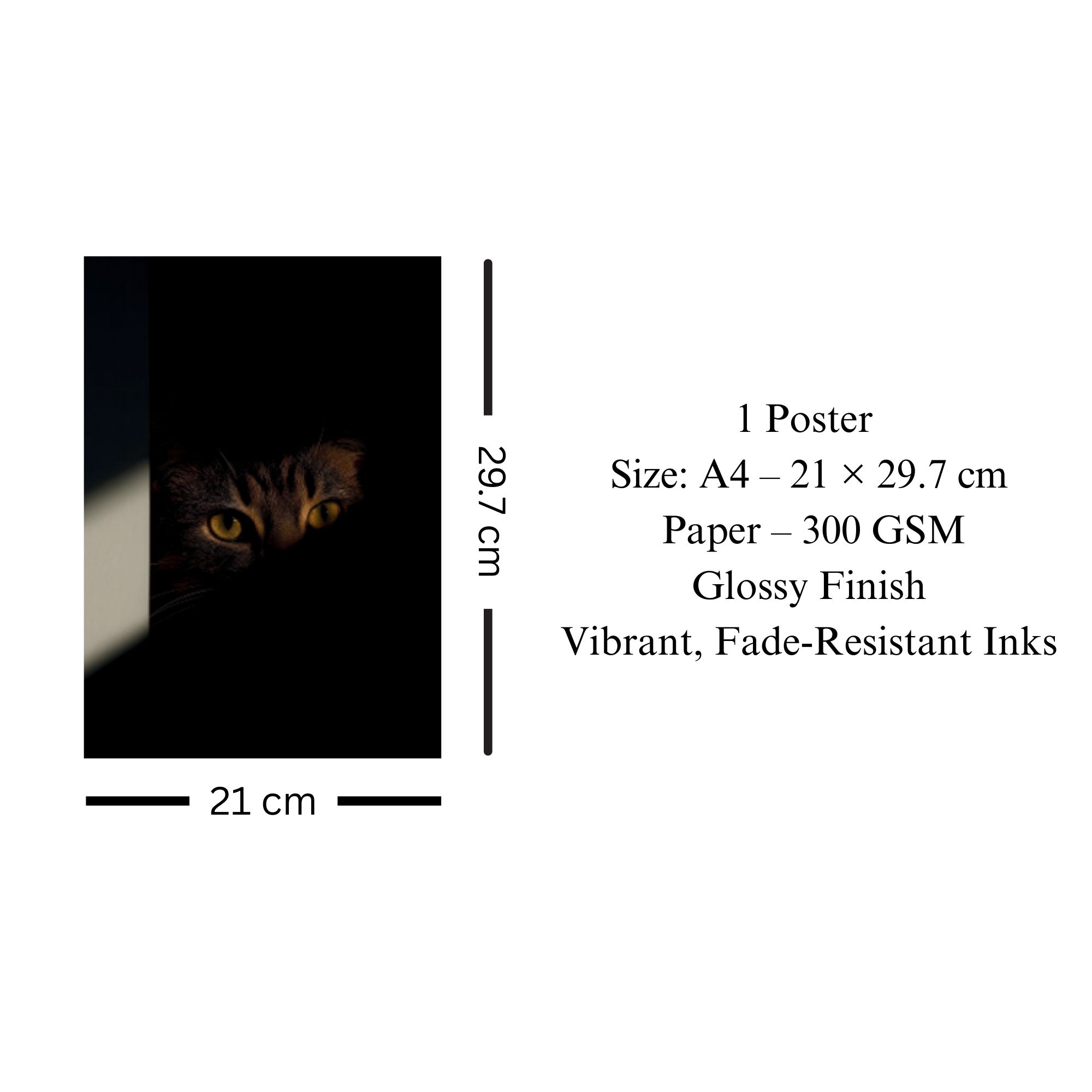 Cat in Shadows Poster A4 thumbnail 3