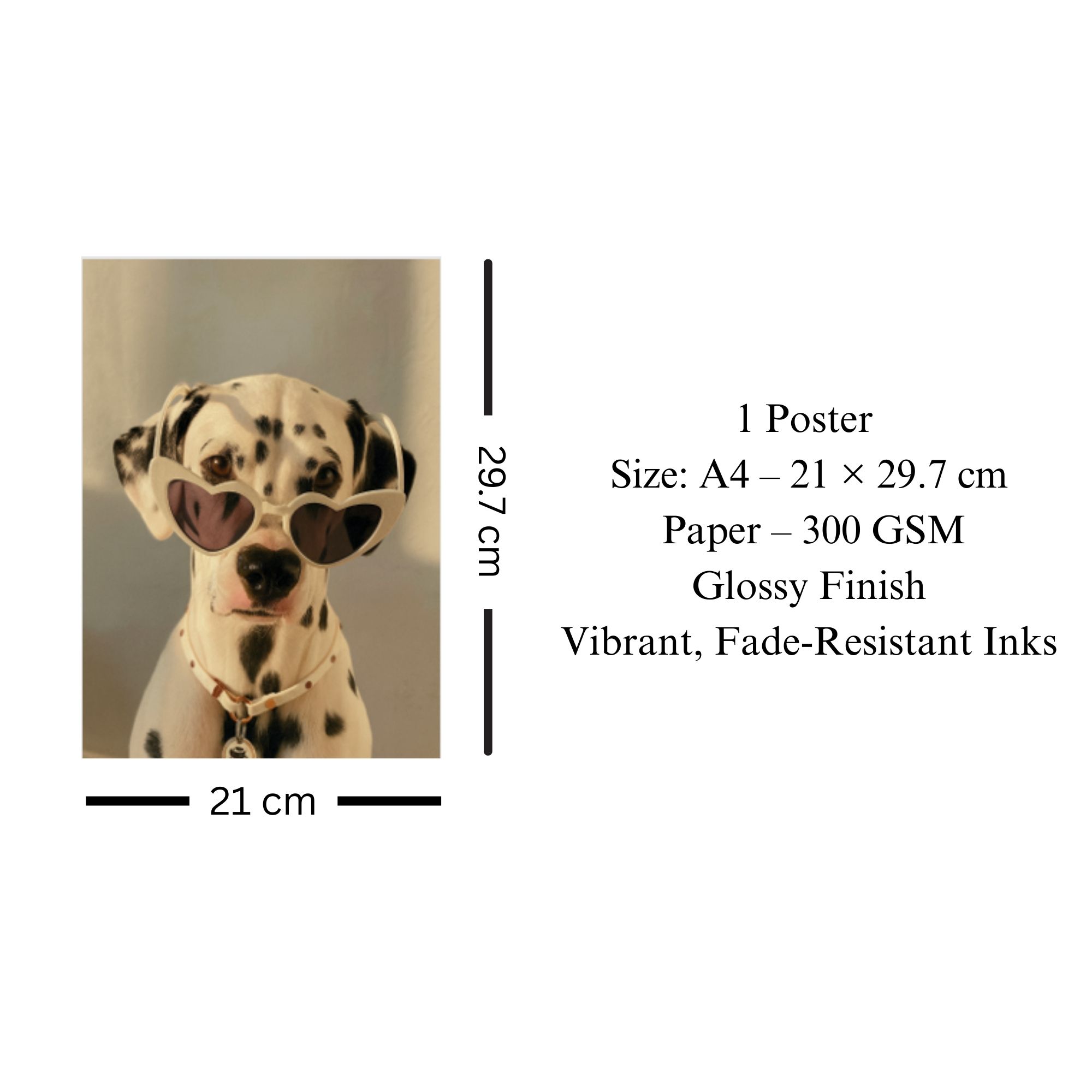 Dalmatian with Sunglasses Poster A4 thumbnail 3