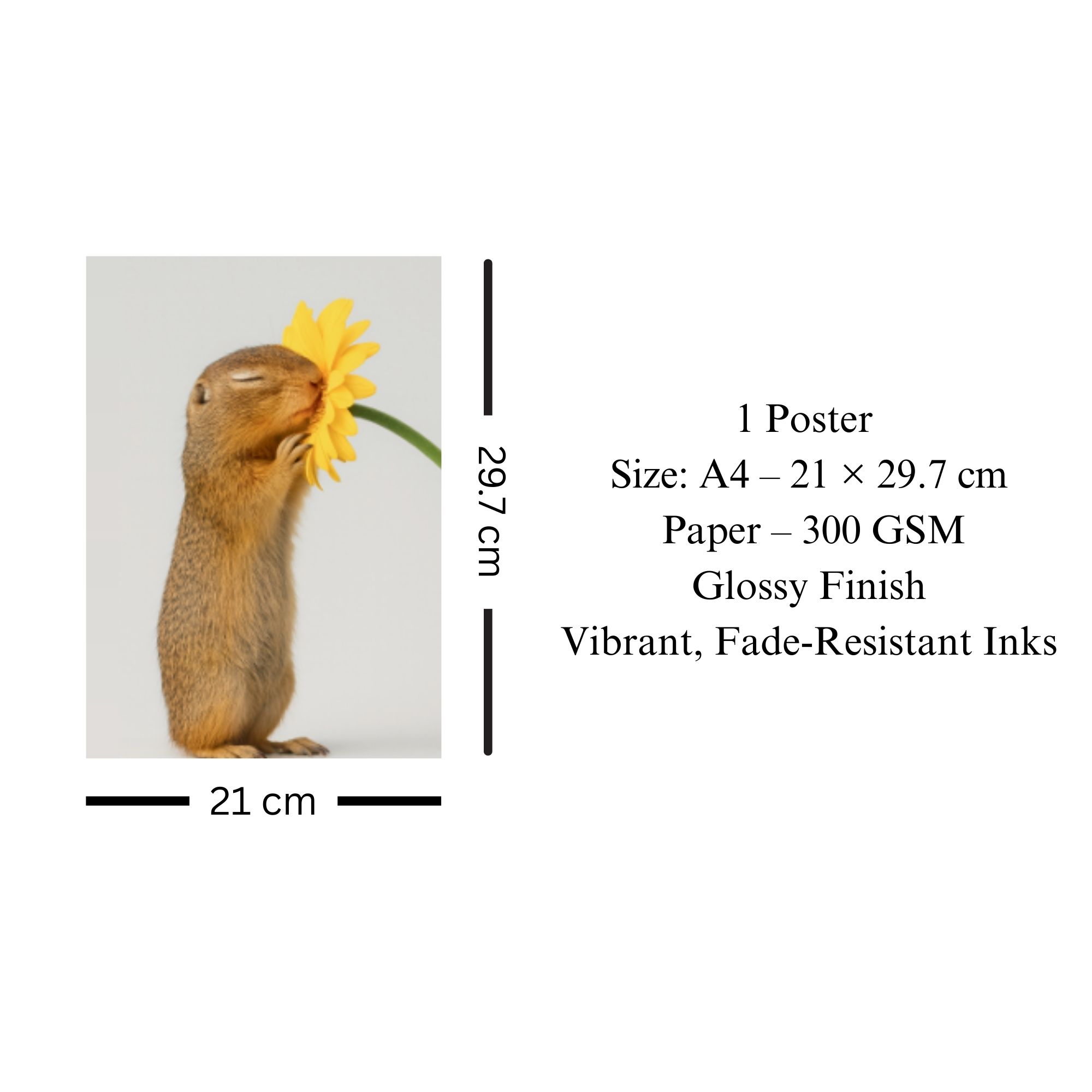 Squirrel with Flower Poster A4 thumbnail 3
