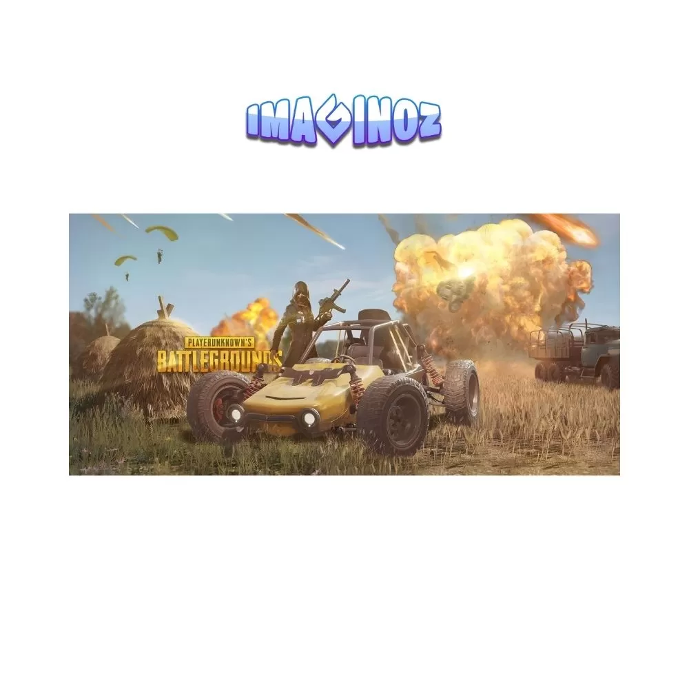 PUBG Battle Royale Gaming Poster