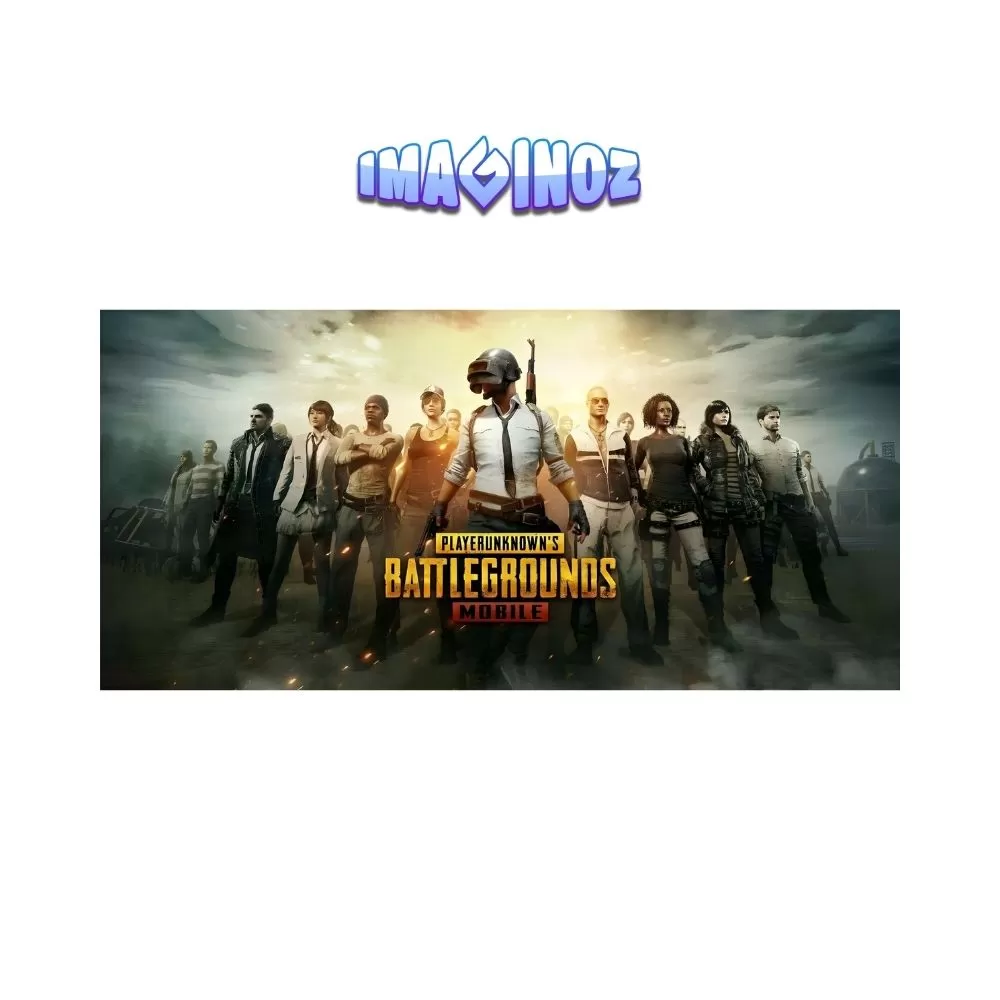 PUBG Battlegrounds Squad Gaming Poster