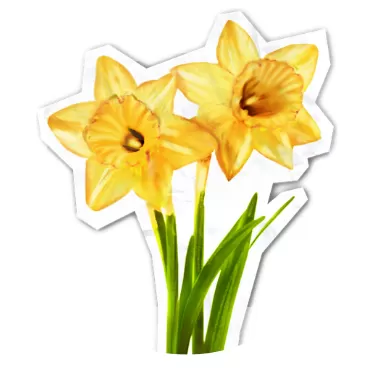 Collage Posters Posters